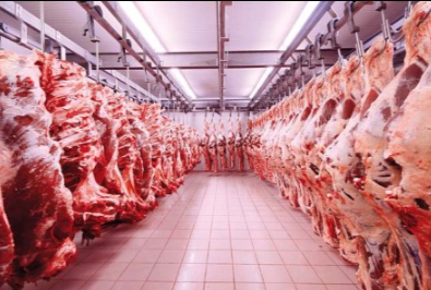 ISO 22000 HACCP SİSTEMİNİN ÖNEMİ