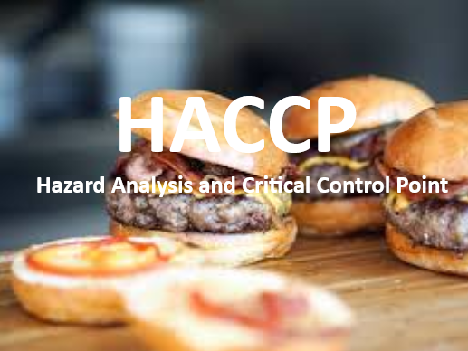 HACCP NEDİR? GIDA GÜVENLİĞİNDEKİ ÖNEMİ NEDİR?